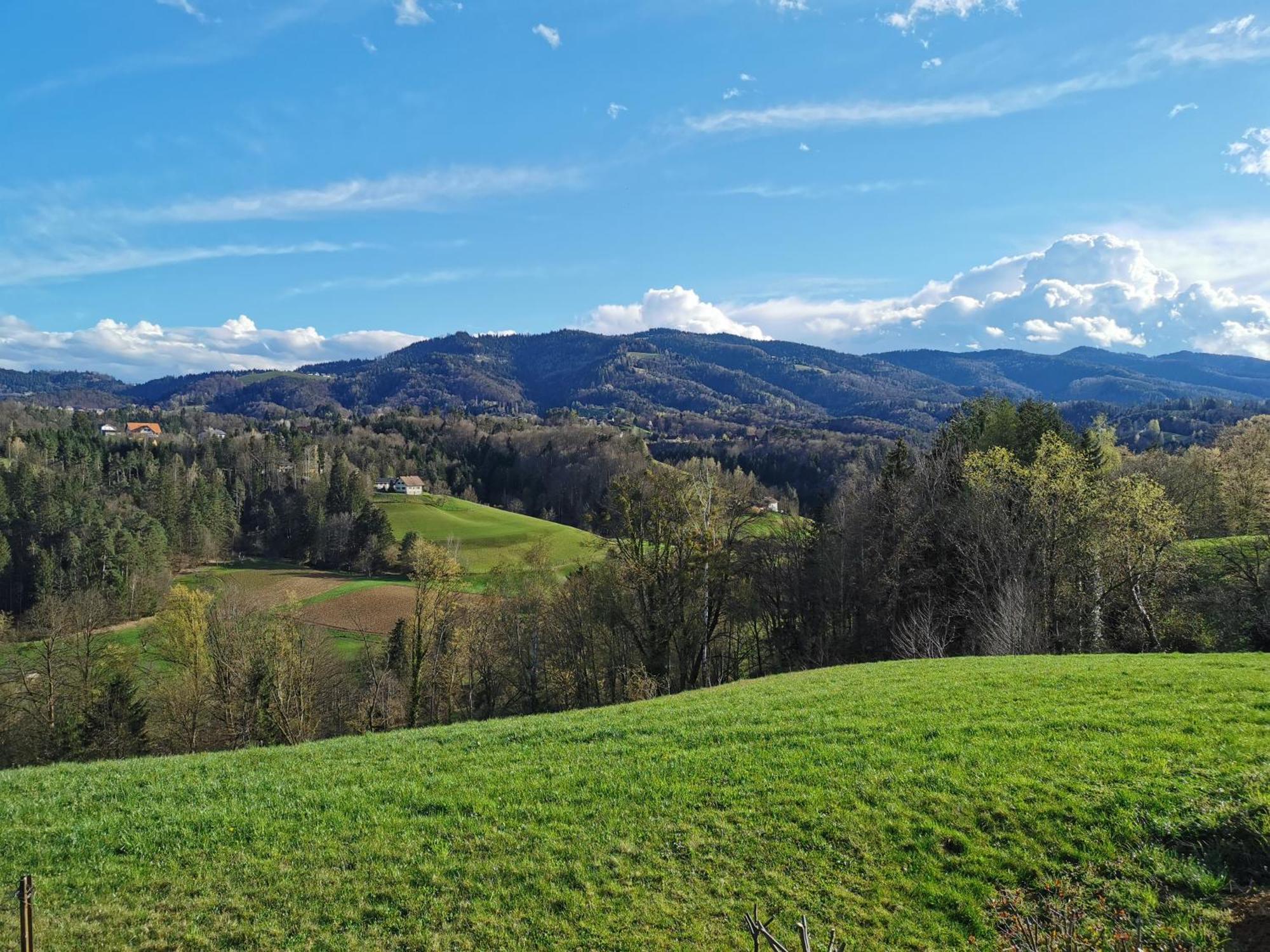 Traumhaftes Ferienhaus am Lateinberg - 8455 Eibiswald Südsteiermark Villa Exterior foto